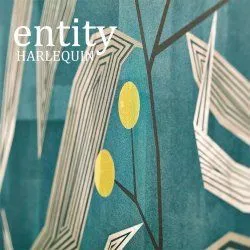 Коллекция Entity