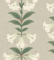 Обои Cole & Son 609747